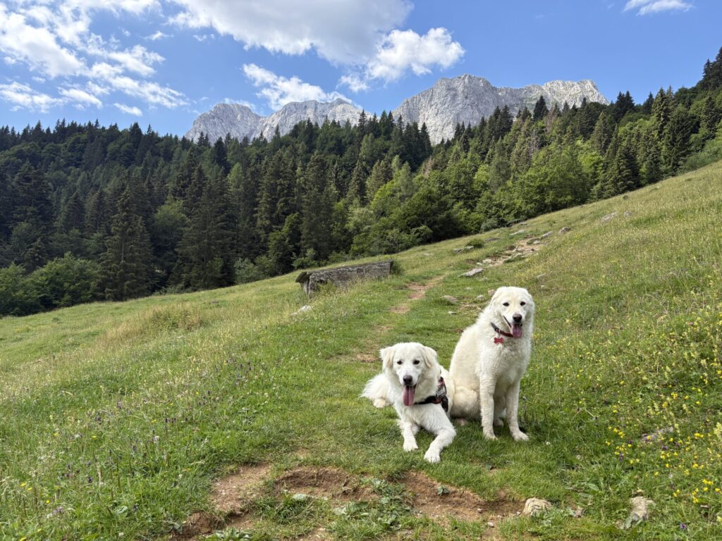 Rifugio Alpe Corte, Rifugio e Lago del Branchino — foto 4