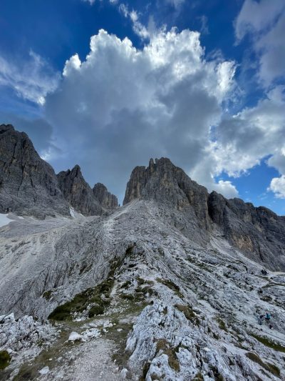 IMG_2597