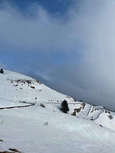 IMG_3181