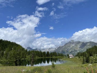 IMG_5677