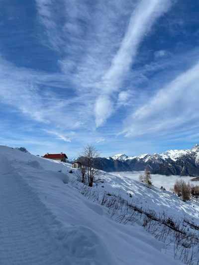 IMG_5724