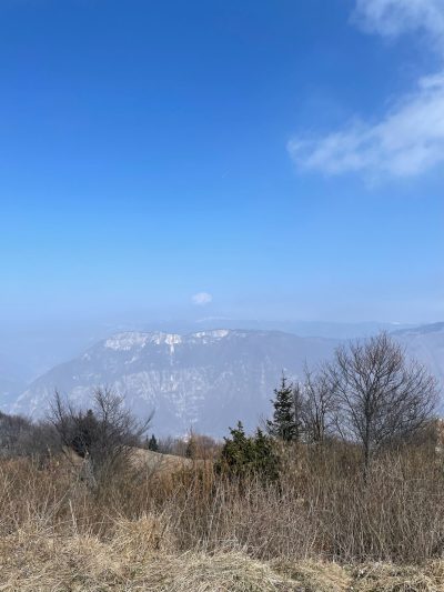 IMG_8349